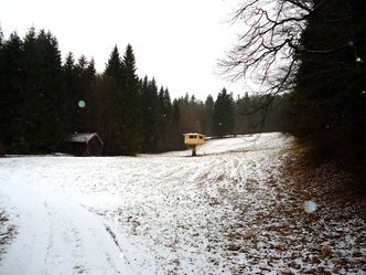 Baumhaus Piding