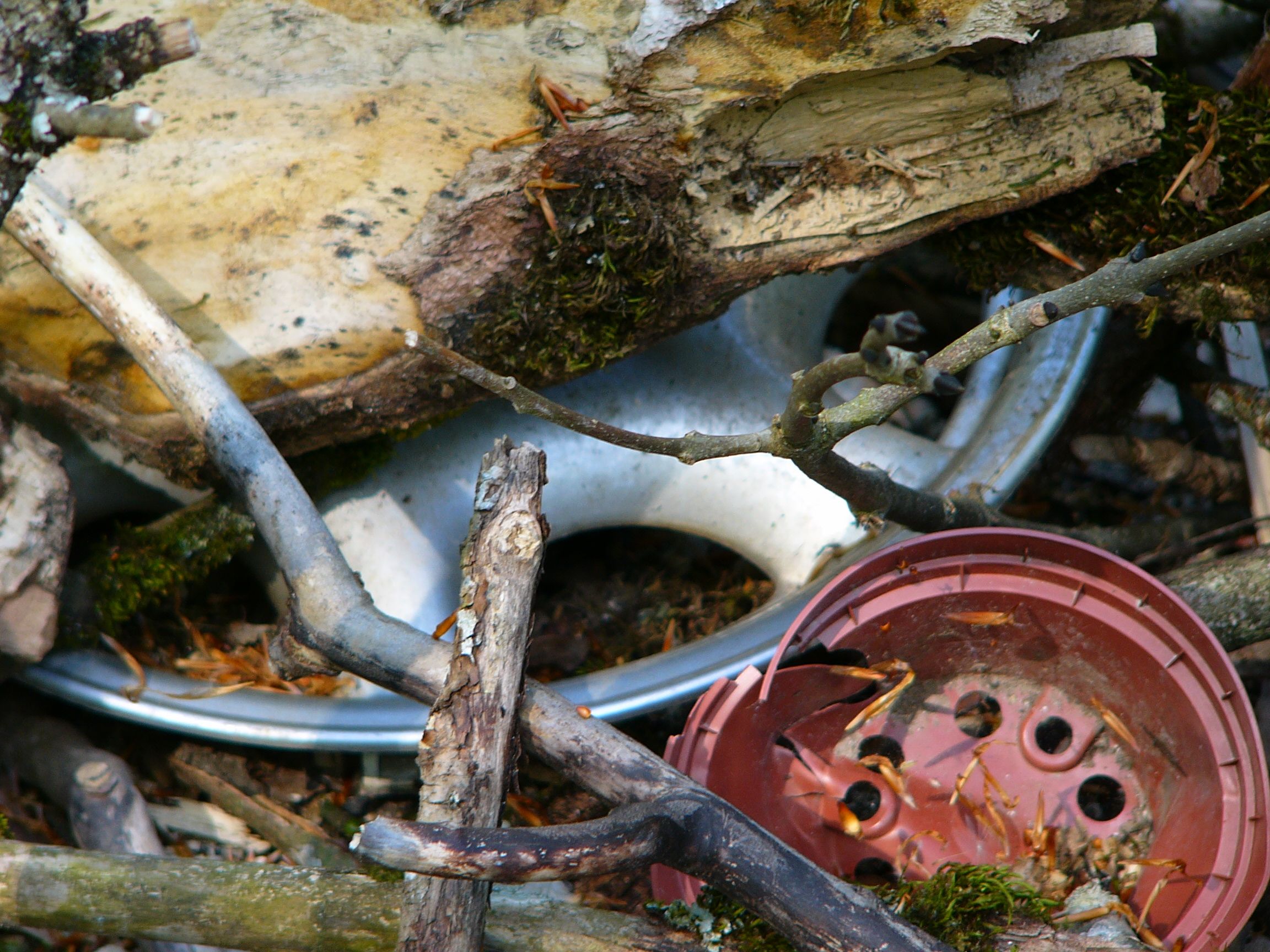 Kein Aushängeschild für Tourismus in Bischofwiesen
