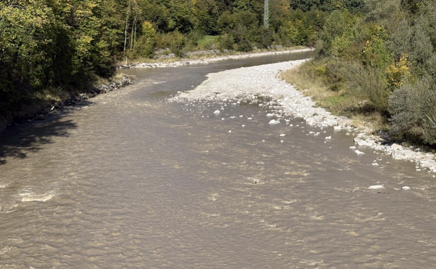 Blick von der Kretabrücke am 29.9. Richtung E-Werkskanal auf den schlammigen Fluss. Diese Flachwasserareale sind ein wertvolles Jungfischgebiet, die aktuelle Population wurde vernichtet